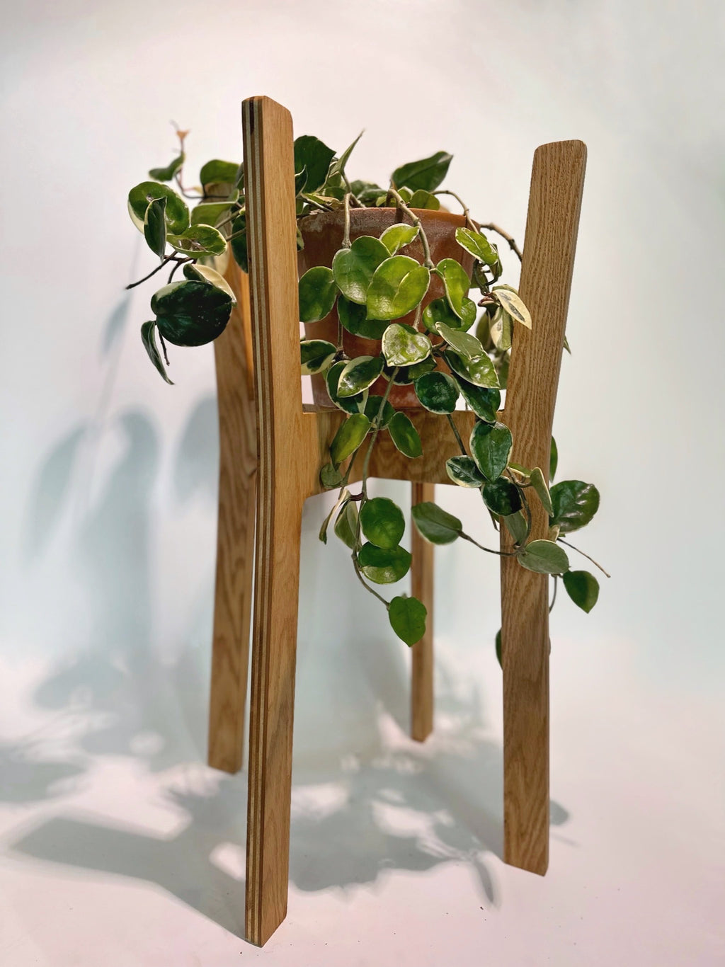 Flora Stand