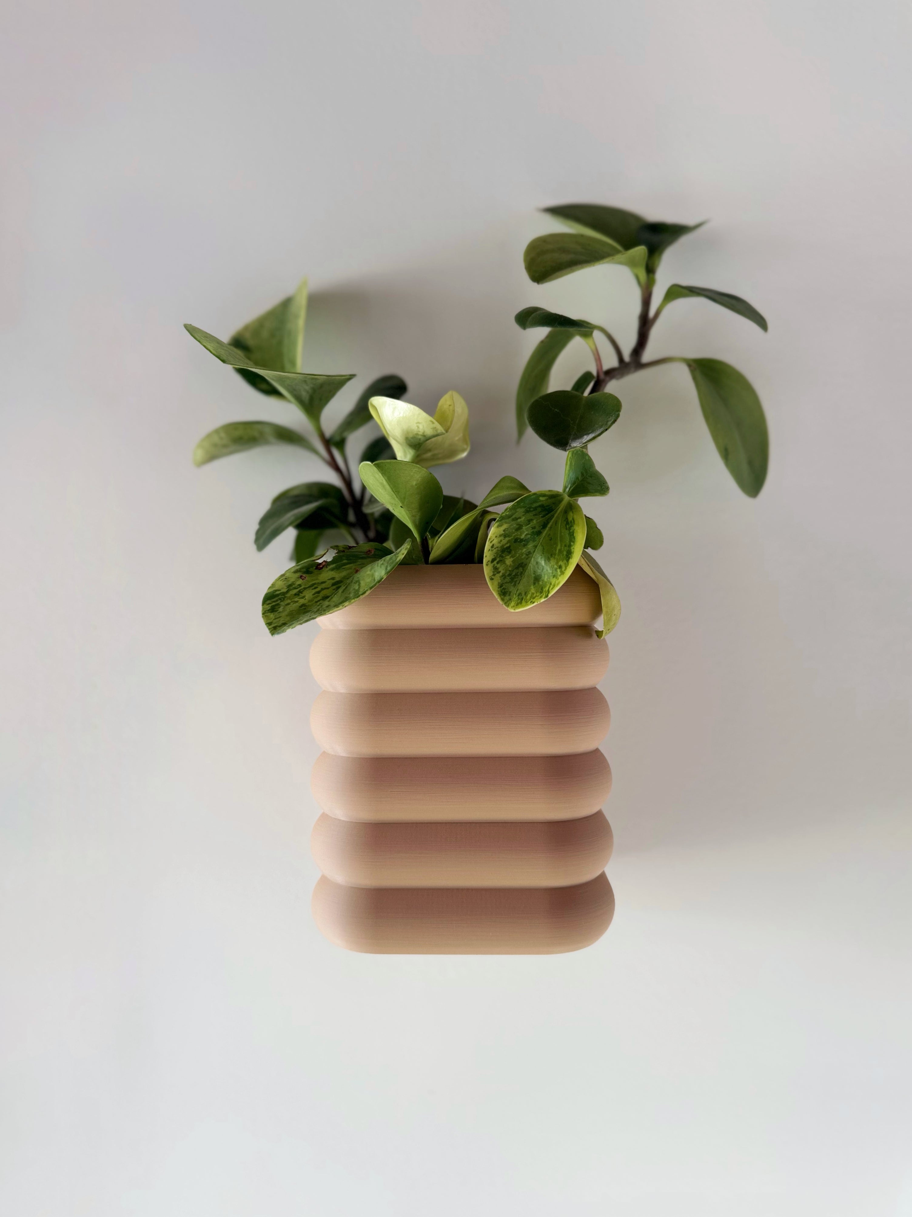 Plantador magnético