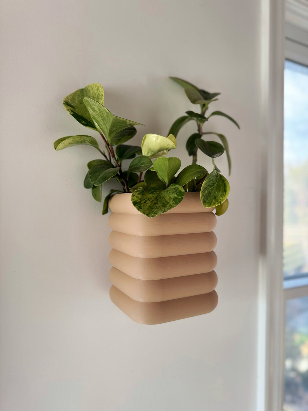 Plantador magnético