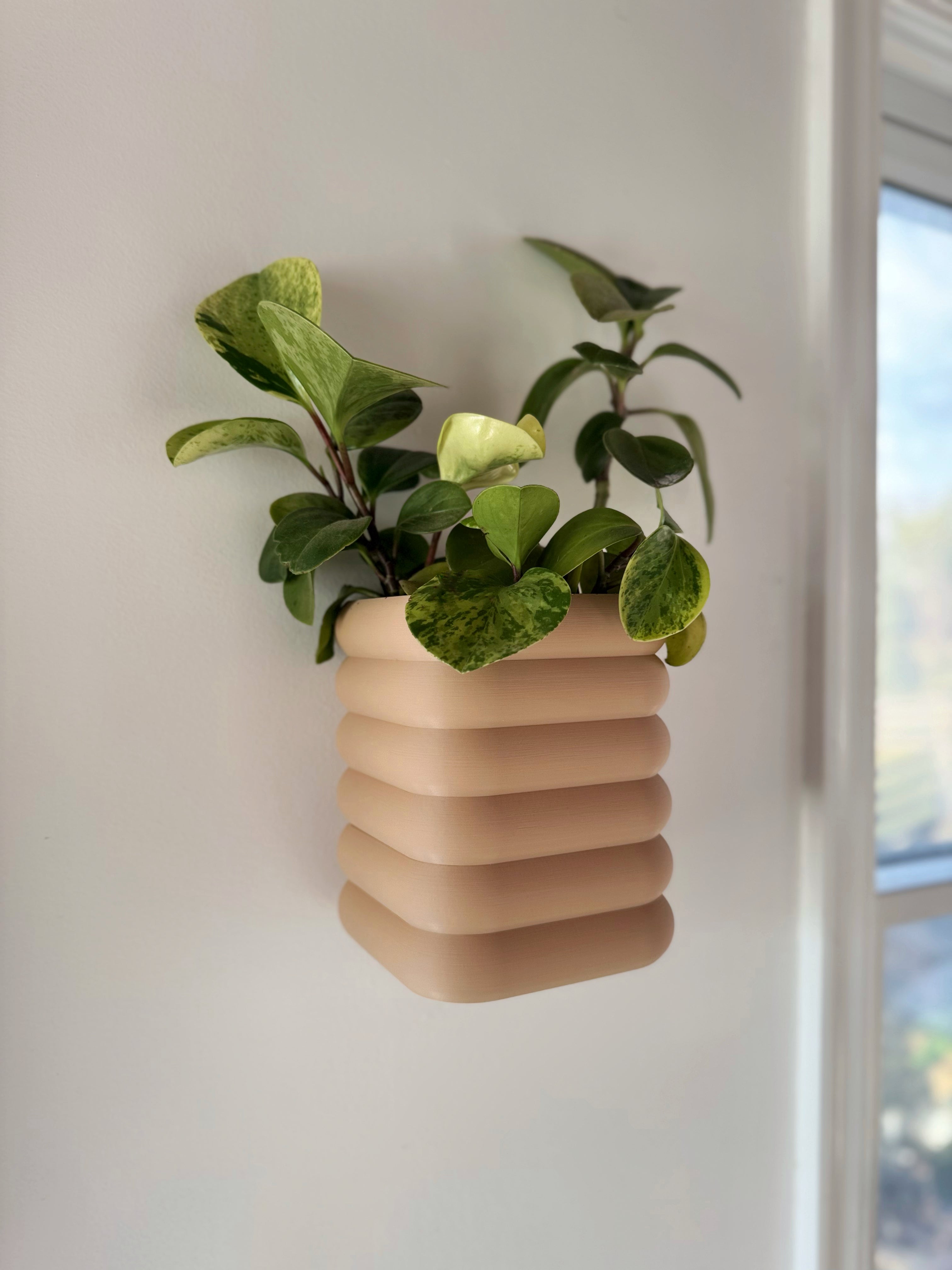 Plantador magnético