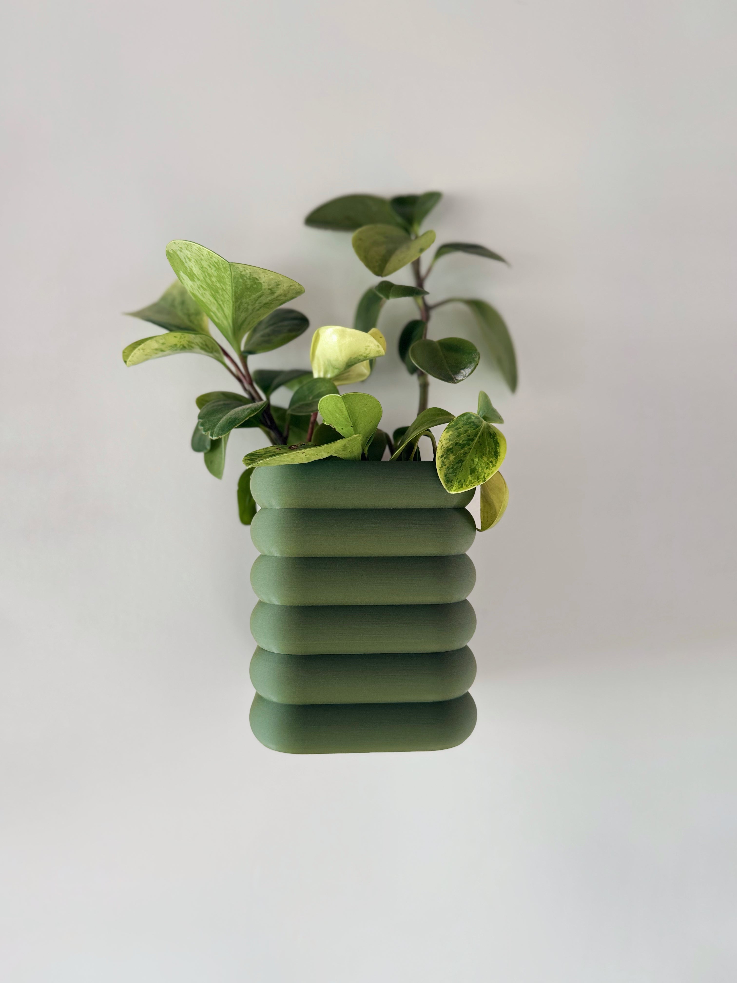 Plantador magnético