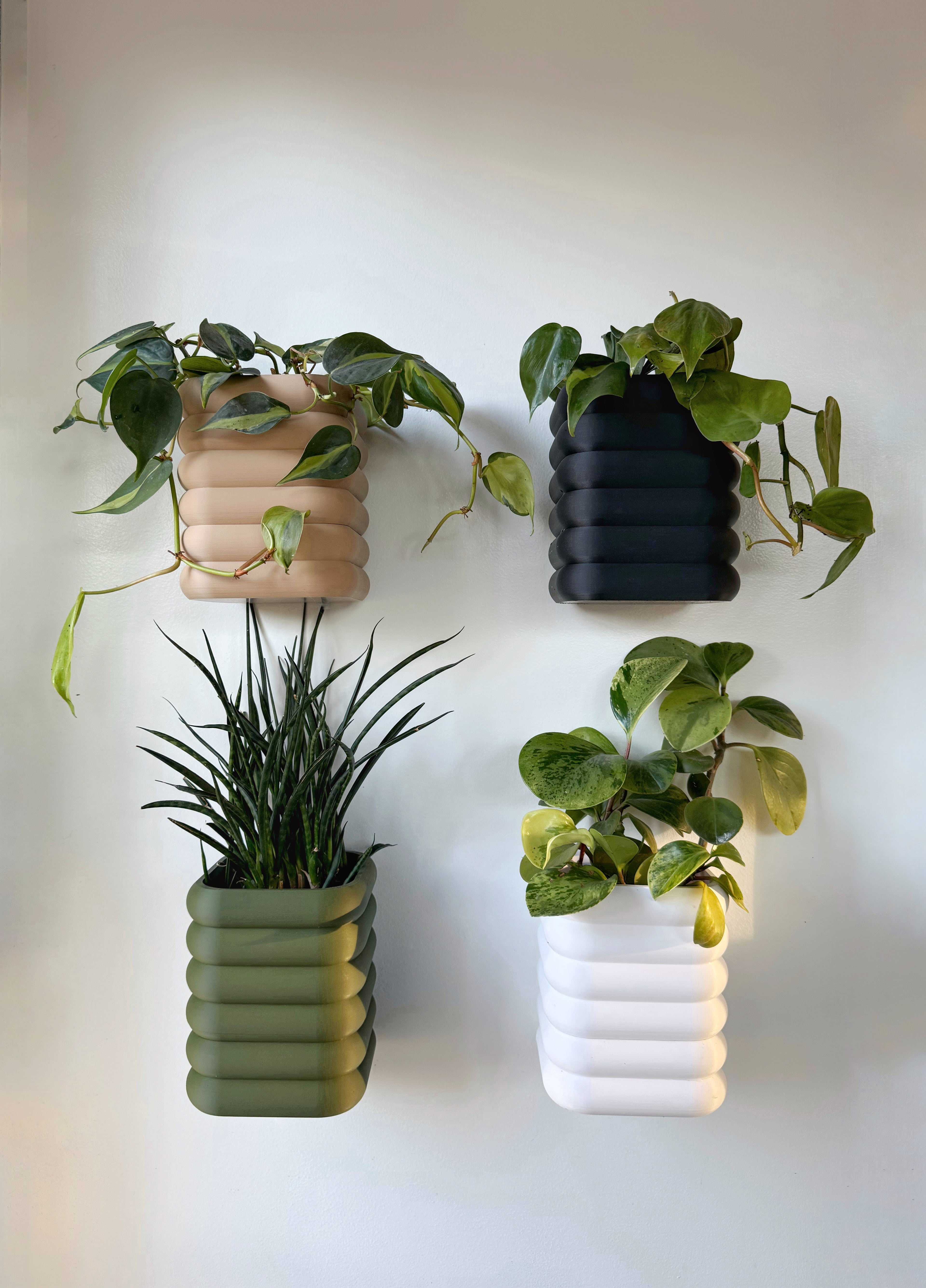 Customizable Planter with self-watering wick and magnetic hidden drainage cup.
