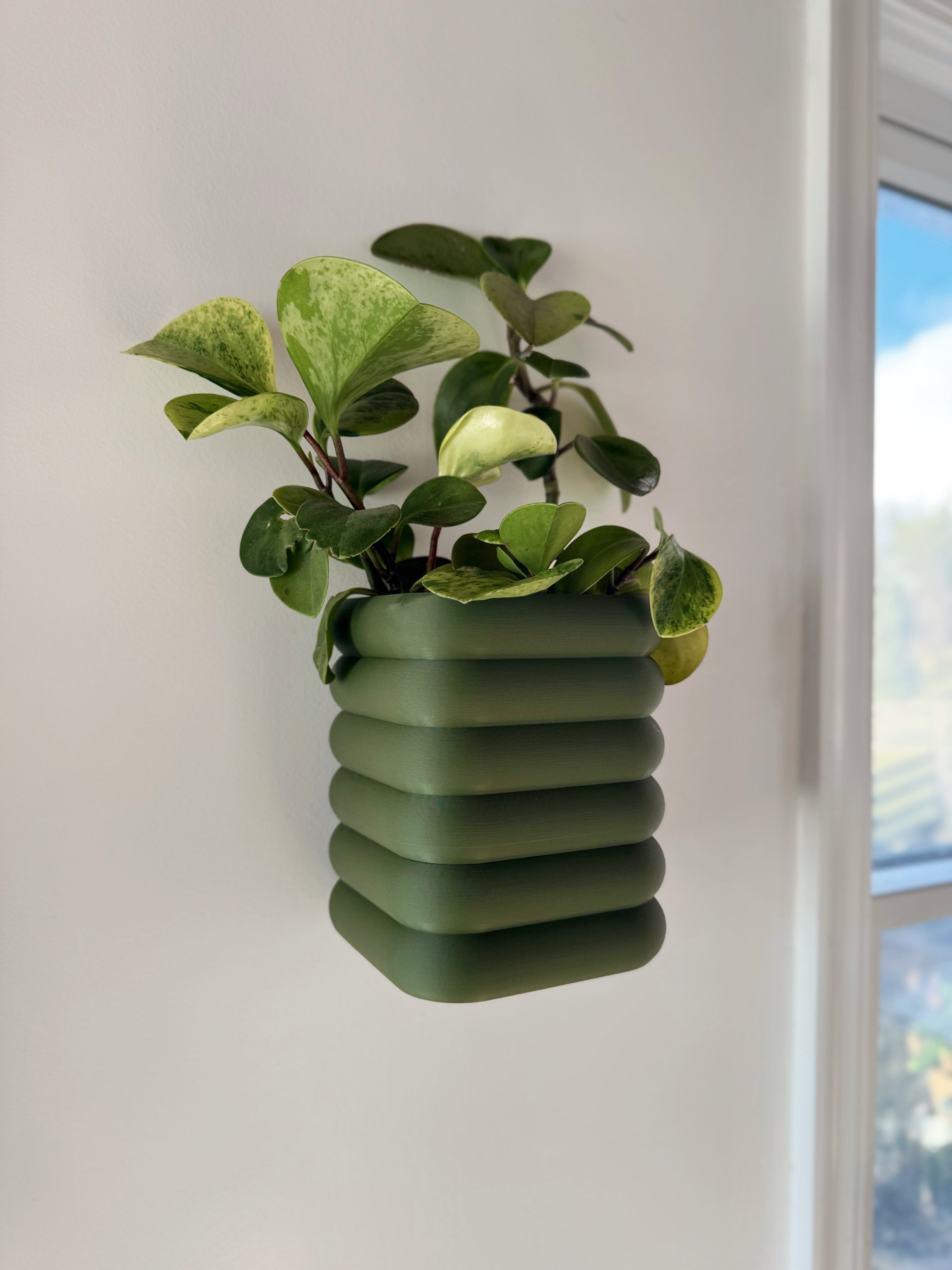 Magnetic planter with self watering wick, hidden drainage cup, great for all plants, and wall mounted. 