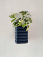 Wall Mounted Planter with Self watering  reservoir and drainage cup.