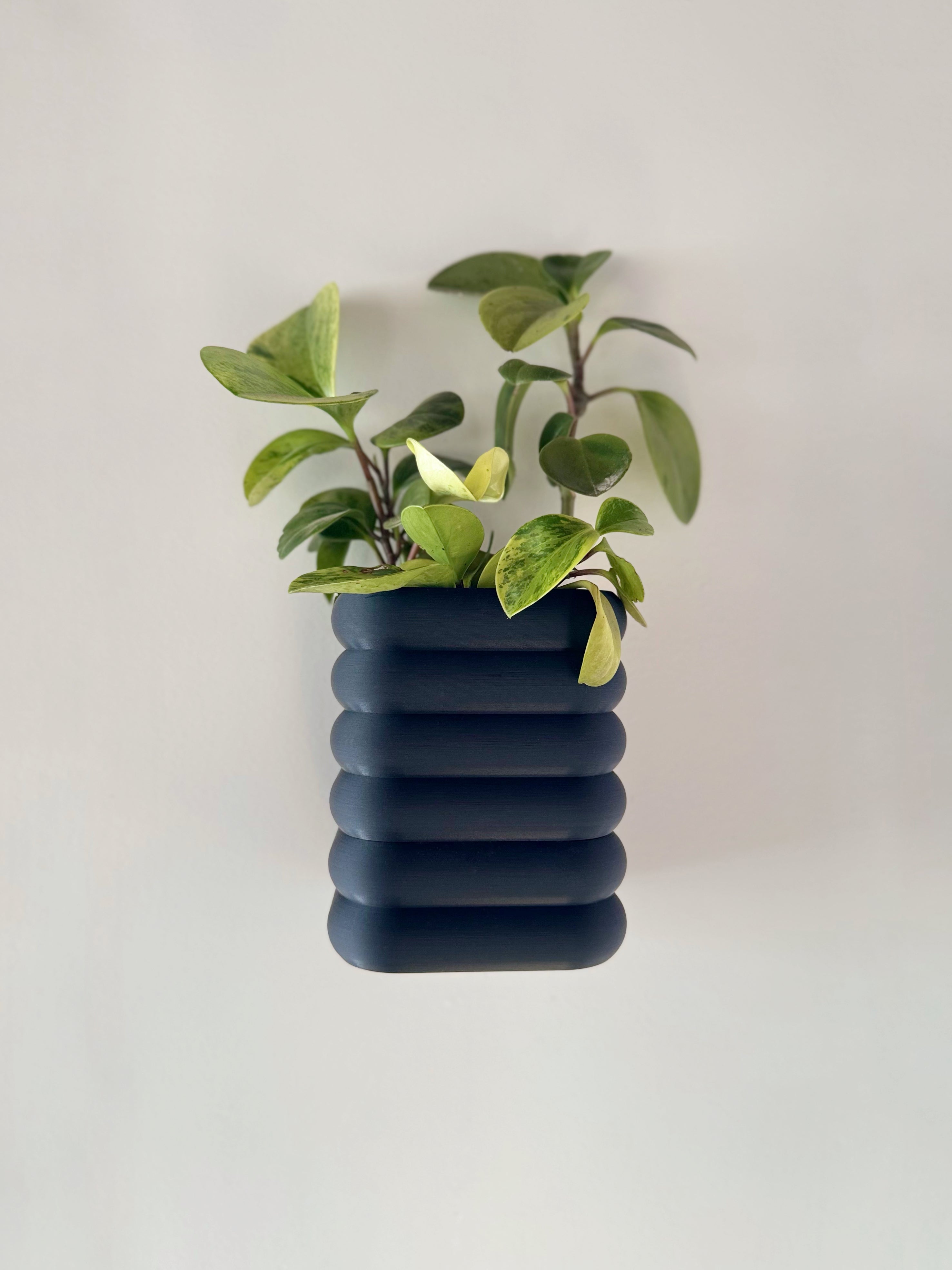 Wall Mounted Planter with Self watering  reservoir and drainage cup.