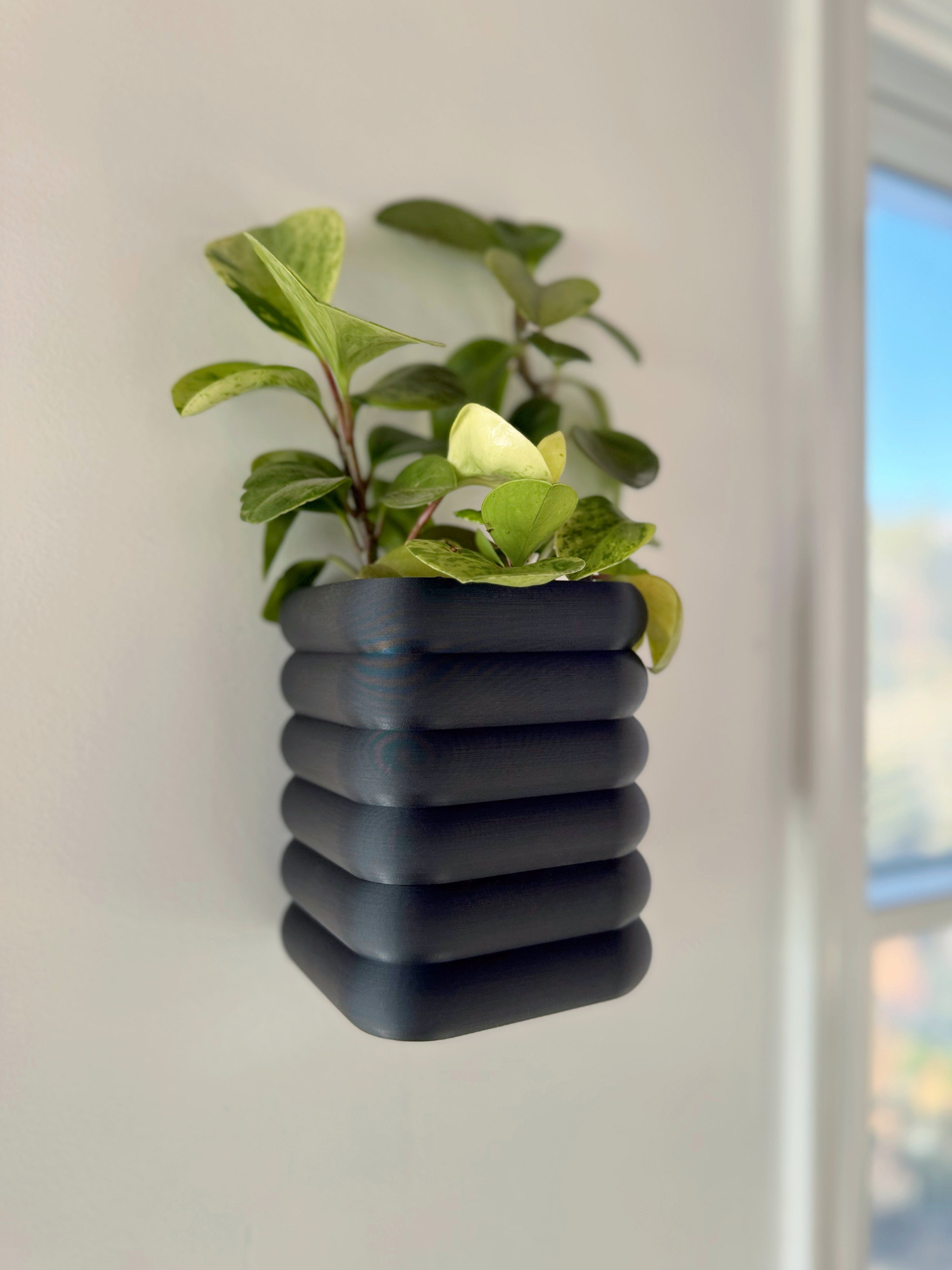 Wall Mounted Planter with Self watering  reservoir and drainage cup.