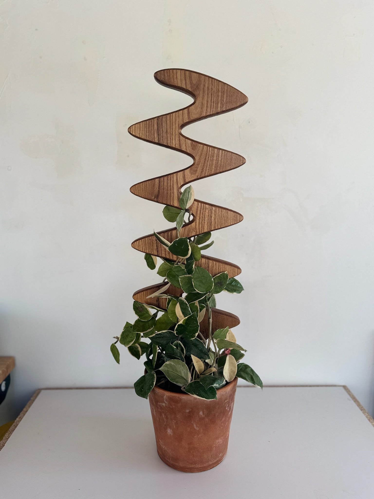 The Serpentine, a retro plant stake, with plants.