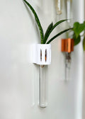 The Magroot wall-mounted propagation tube, a stylish and functional way to grow plant cuttings in water.