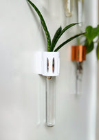 The Magroot wall-mounted propagation tube, a stylish and functional way to grow plant cuttings in water.