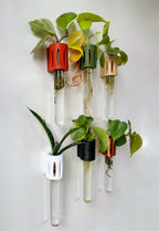 Magnetic plant propagation tube – The Magroot, a 3D-printed test tube holder for rooting cuttings on fridges and metal surfaces.