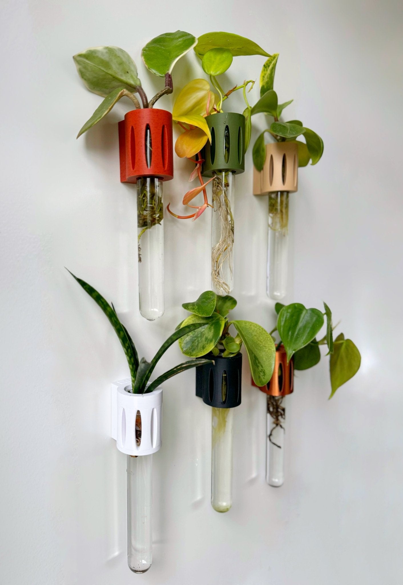 Magnetic plant propagation tube – The Magroot, a 3D-printed test tube holder for rooting cuttings on fridges and metal surfaces.
