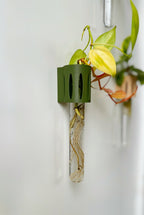 The Magroot wall-mounted propagation tube, a stylish and functional way to grow plant cuttings in water.