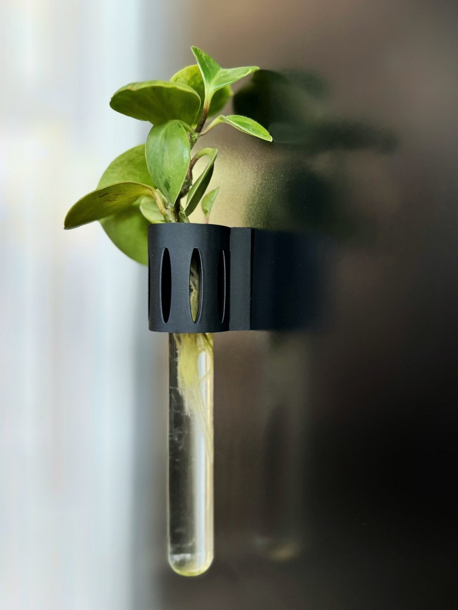 The Magroot 3D-printed magnetic propagation tube, a sleek and modern way to root plant cuttings on any magnetic surface.