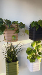 Plantador magnético