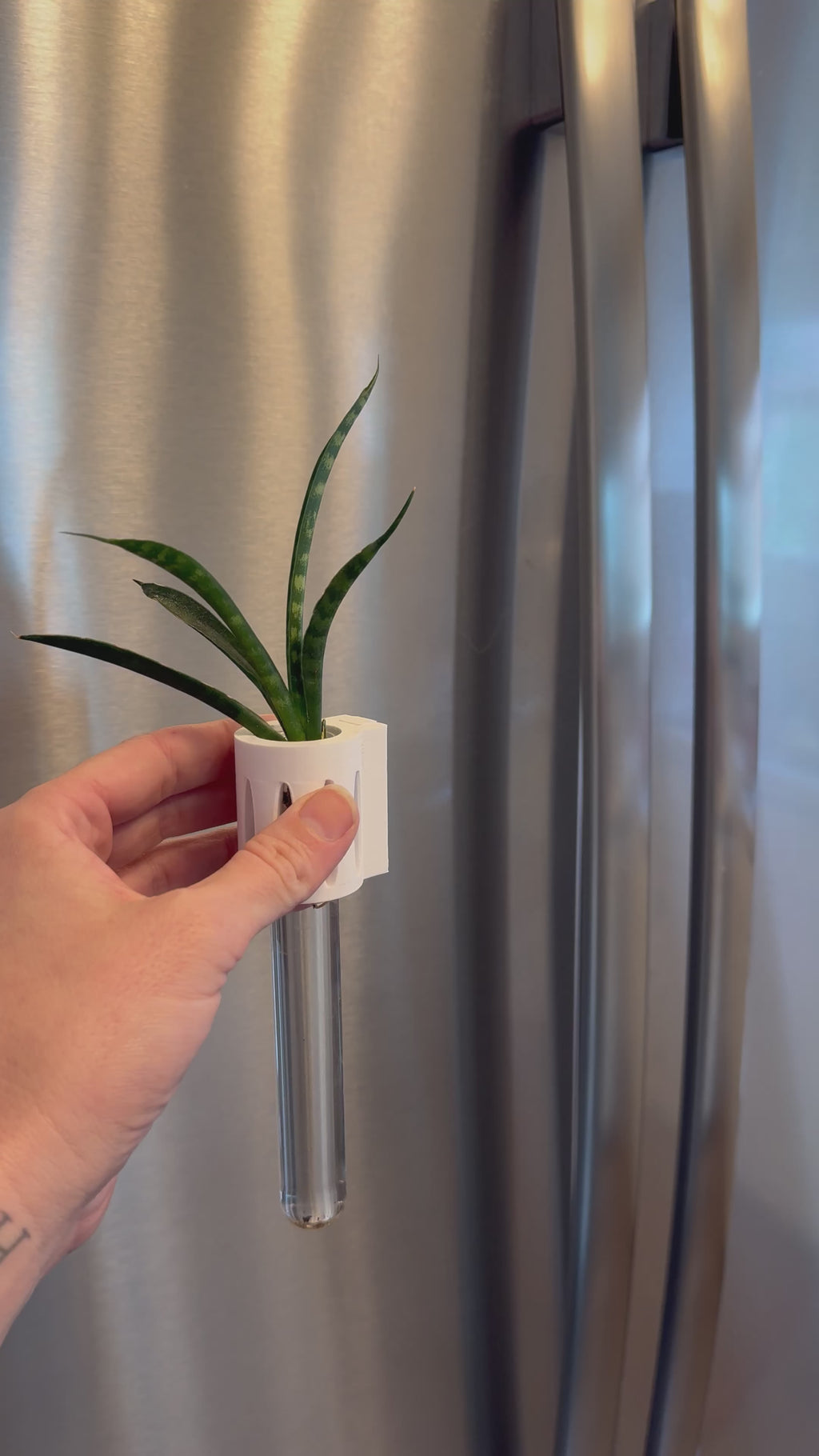 Magnetic propagation test tube – The Magroot, a 3D-printed design for growing vining plants like pothos and monstera in water.
