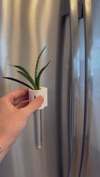 Magnetic propagation test tube – The Magroot, a 3D-printed design for growing vining plants like pothos and monstera in water.