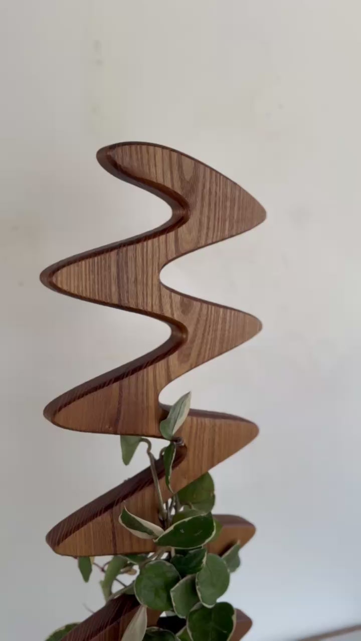 The Serpentine wooden plant support, a minimalist and modern stake for climbing plants, crafted by Elmstone.