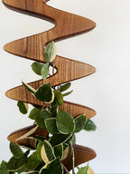 Large wooden plant stake – The Serpentine, a natural trellis for houseplants, gardens, and climbing greenery.